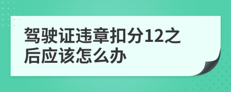 驾驶证违章扣分12之后应该怎么办