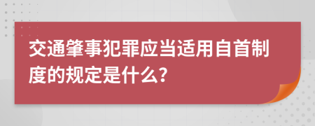 交通肇事犯罪应当适用自首制度的规定是什么？