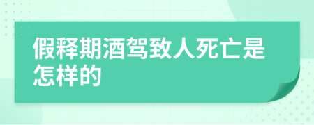 假释期酒驾致人死亡是怎样的