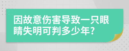 因故意伤害导致一只眼睛失明可判多少年?