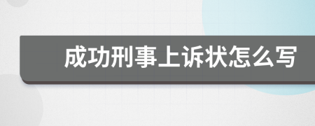 成功刑事上诉状怎么写