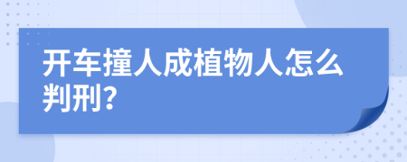 开车撞人成植物人怎么判刑？