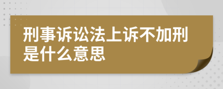 刑事诉讼法上诉不加刑是什么意思