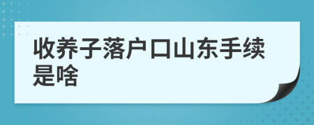 收养子落户口山东手续是啥