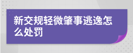 新交规轻微肇事逃逸怎么处罚