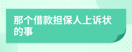 那个借款担保人上诉状的事