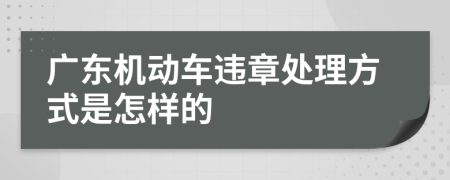 广东机动车违章处理方式是怎样的