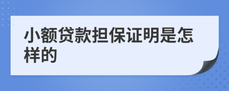 小额贷款担保证明是怎样的