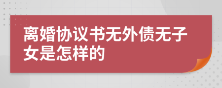 离婚协议书无外债无子女是怎样的