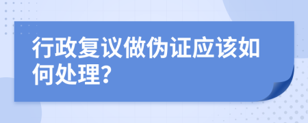 行政复议做伪证应该如何处理？