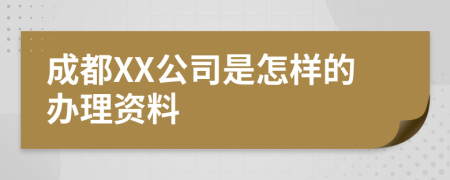 成都XX公司是怎样的办理资料