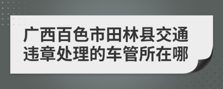 广西百色市田林县交通违章处理的车管所在哪