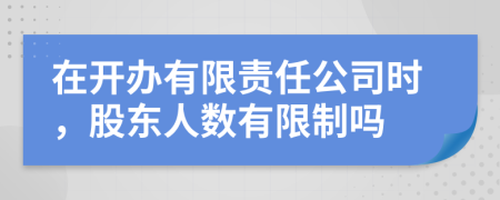 在开办有限责任公司时，股东人数有限制吗