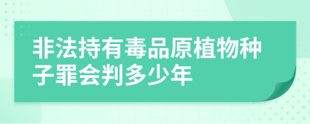 非法持有毒品原植物种子罪会判多少年