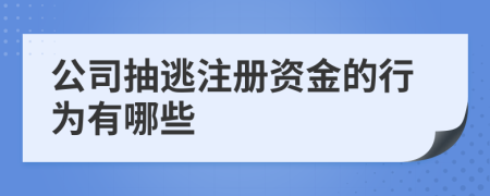 公司抽逃注册资金的行为有哪些