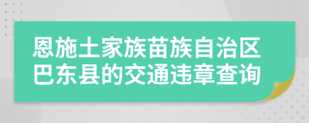 恩施土家族苗族自治区巴东县的交通违章查询