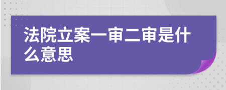 法院立案一审二审是什么意思