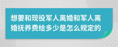 想要和现役军人离婚和军人离婚抚养费给多少是怎么规定的