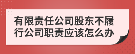 有限责任公司股东不履行公司职责应该怎么办