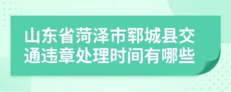 山东省菏泽市郓城县交通违章处理时间有哪些