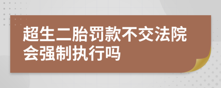 超生二胎罚款不交法院会强制执行吗