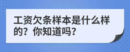 工资欠条样本是什么样的？你知道吗？