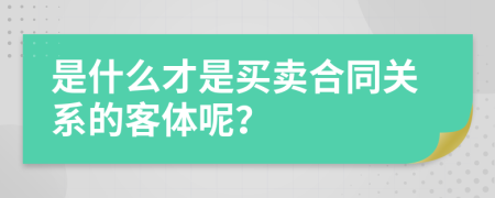 是什么才是买卖合同关系的客体呢？