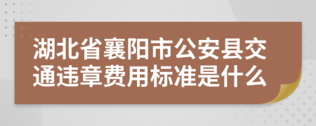 湖北省襄阳市公安县交通违章费用标准是什么