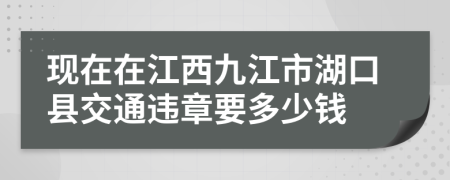 现在在江西九江市湖口县交通违章要多少钱