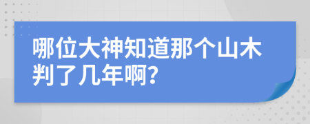 哪位大神知道那个山木判了几年啊？