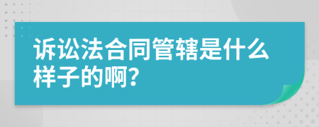 诉讼法合同管辖是什么样子的啊？