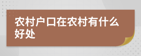 农村户口在农村有什么好处