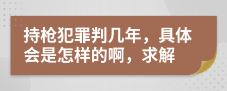 持枪犯罪判几年，具体会是怎样的啊，求解