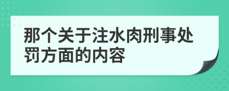 那个关于注水肉刑事处罚方面的内容