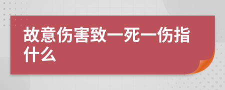 故意伤害致一死一伤指什么