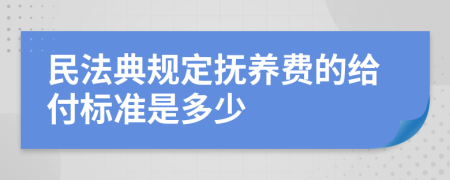 民法典规定抚养费的给付标准是多少