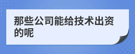 那些公司能给技术出资的呢