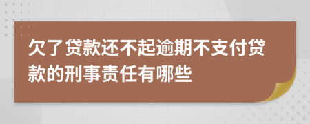 欠了贷款还不起逾期不支付贷款的刑事责任有哪些