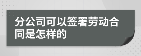 分公司可以签署劳动合同是怎样的