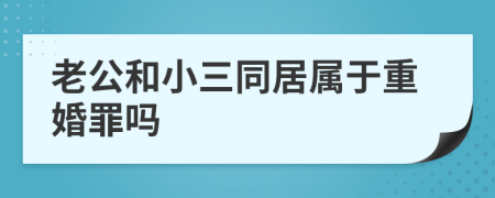 老公和小三同居属于重婚罪吗