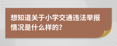 想知道关于小学交通违法举报情况是什么样的？