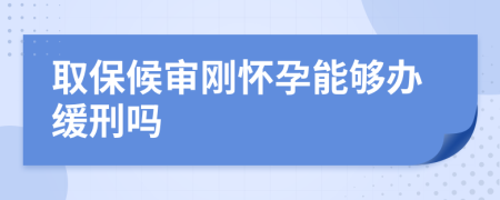 取保候审刚怀孕能够办缓刑吗