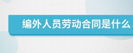 编外人员劳动合同是什么