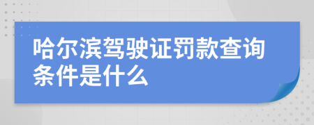 哈尔滨驾驶证罚款查询条件是什么