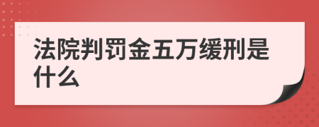 法院判罚金五万缓刑是什么