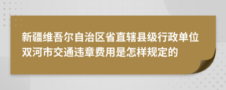 新疆维吾尔自治区省直辖县级行政单位双河市交通违章费用是怎样规定的