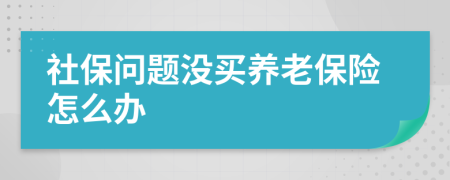 社保问题没买养老保险怎么办