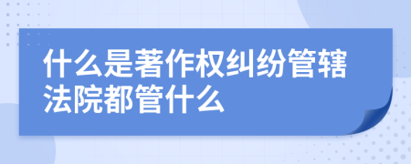 什么是著作权纠纷管辖法院都管什么