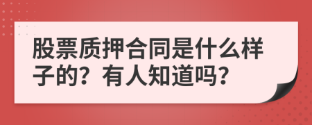 股票质押合同是什么样子的？有人知道吗？