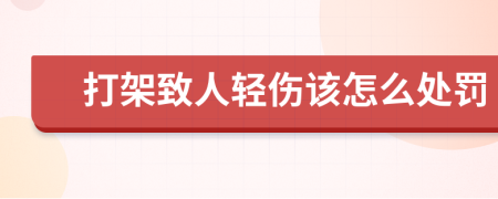 打架致人轻伤该怎么处罚